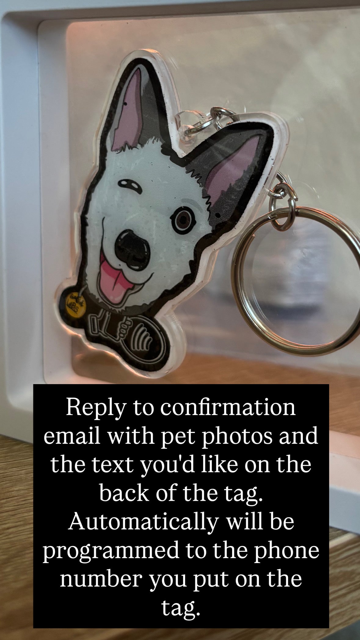 Custom Pet Tag