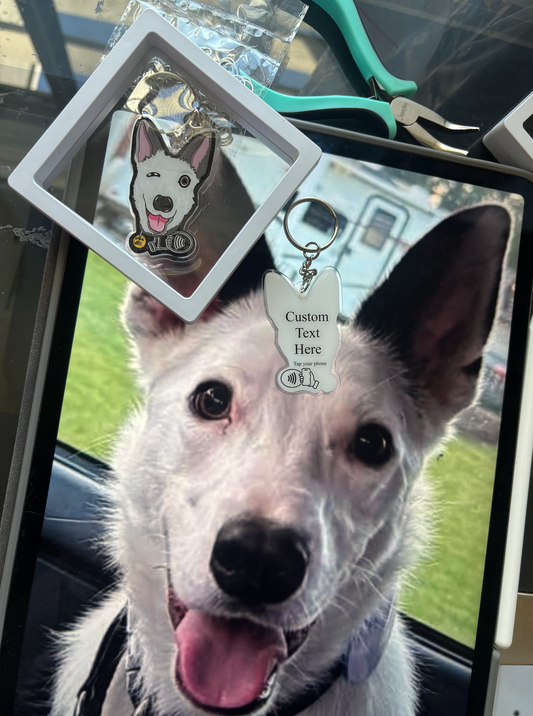 Custom Pet Tag