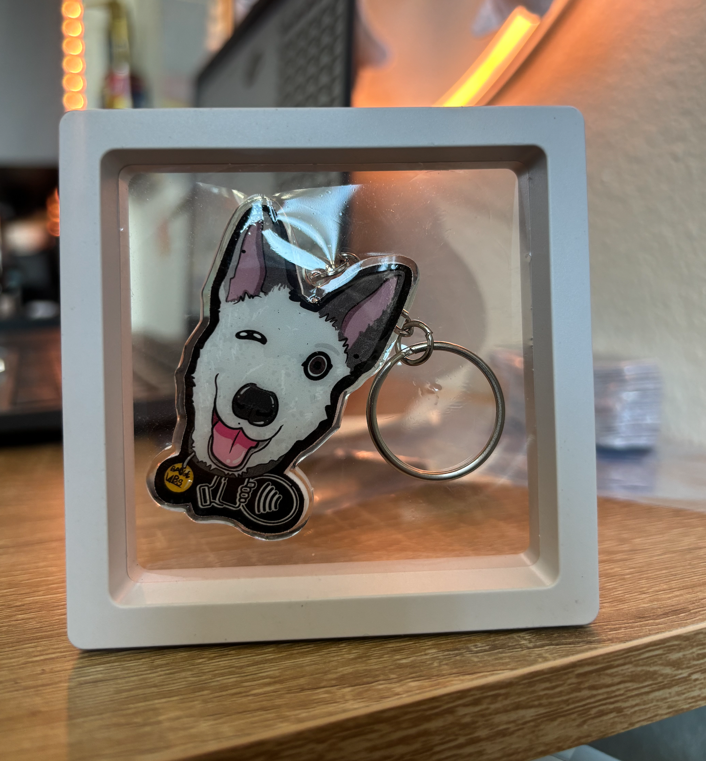 Custom Pet Tag